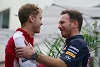 Foto zur News: Horner: Flüchtet Sebastian Vettel 2018 zu Mercedes?