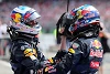 Foto zur News: Daniel Ricciardo: Max Verstappen ist &quot;ein Rennsport-Nerd&quot;