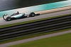 Foto zur News: Rennvorschau Sepang: Explodiert Hamilton auf &quot;neuem&quot; Kurs?