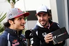 Foto zur News: Alonso: Carlos Sainz wäre ein guter Fahrer für McLaren