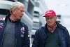 Foto zur News: Lauda kontra Marko: Gehe nicht mehr zu Red Bull frühstücken“