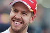 Foto zur News: &quot;Sehr gutes Jahr&quot;: Vettel sieht &quot;Erfolge hinter den