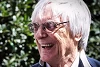 Foto zur News: Ecclestone rudert zurück: "Auch Nico wäre toller Champion"