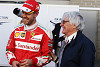 Foto zur News: Ecclestone nimmt Vettel in Schutz: "Hat eine Meinung"