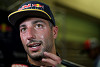 Foto zur News: Ricciardo bald Teamchef? &quot;Nicht sicher, ob ich klug genug