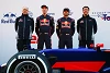 Foto zur News: Schutz vor Mercedes-Schicksal: Toro Rosso noch relevant?