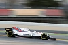 Foto zur News: Massa: &quot;Williams sollte 2017 wieder um Podium kämpfen&quot;