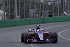 Foto zur News: Toro Rosso mit goldenem Start: Da ist noch mehr drin!