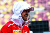 Foto zur News: Sebastian Vettel warnt Liberty: Bitte jetzt nicht alles