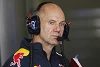 Foto zur News: Daniel Ricciardo: Andere sind auch so gut wie Adrian Newey