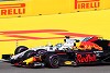 Foto zur News: Ricciardos Bremsenfeuer: Kämpfte man um Reifentemperatur?