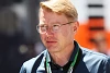 Foto zur News: Häkkinen: Alonso-Sieg bei Indy 500 würde nicht überraschen