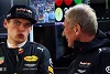 Foto zur News: Marko: Warum Max Verstappen nicht zu Ferrari gehen kann