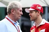 Foto zur News: Marko: Sebastian Vettel braucht die Karotte vor der Nase