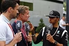 Foto zur News: David Coulthard glaubt: Hamilton noch lange in der Formel 1