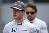 Foto zur News: Stoffel Vandoorne: Zukunft bei McLaren gesichert?