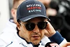 Foto zur News: Felipe Massa: DTM und LMP1 sind am Ende!