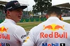 Foto zur News: Max Verstappen: Noch ein Gespräch mit Daniel Ricciardo?