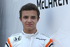 Foto zur News: McLaren-Talent Lando Norris: Deutscher ist der größte Gegner