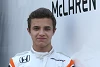 Foto zur News: McLaren-Talent Lando Norris: Deutscher ist der größte Gegner