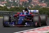 Foto zur News: Gespräche abgebrochen: Toro Rosso 2018 nicht mit Honda