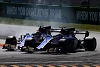 Foto zur News: Sauber: Hartes teaminternes Duell für wenig