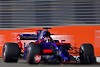 Foto zur News: Kein McLaren-Support: Toro Rosso wird Getriebe selbst bauen