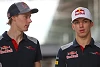 Foto zur News: Formel 1 2018: Toro Rosso bestätigt Gasly und Hartley