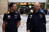 Foto zur News: Horner: Newey wird auch 2018 nicht stärker involviert sein