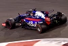 Foto zur News: Honda: Gleichberechtigte Beziehung zu Toro Rosso