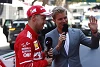 Foto zur News: Nico Rosberg über neuen RTL-Job: &quot;Völlig neutral und