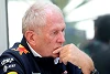 Foto zur News: Neuer Ferrari-Job: Helmut Marko freut sich für Daniil Kwjat