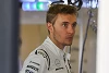 Foto zur News: Williams-Cockpit: Sergei Sirotkin sticht Robert Kubica aus