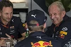 Foto zur News: Max Verstappen: "Helmut Marko ist wie ein zweiter Vater"