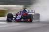 Foto zur News: Formel-1-Live-Ticker: Erstes Bild des neuen Toro-Rosso-Honda