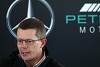 Foto zur News: Zocken mit Motorenstrafen für Mercedes kein Thema