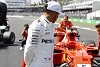 Foto zur News: Lewis Hamilton: Werde mich nicht bei anderen Teams umsehen