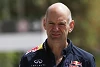 Foto zur News: Red Bull RB14: Adrian Newey wieder stärker involviert