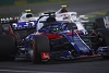 Foto zur News: Toro Rosso optimistisch: &quot;Kämpfen mit Williams und Force