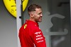 Foto zur News: Frischer &quot;Undercut&quot;: Darum hält Vettel an der Kampf-Frisur