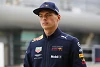 Foto zur News: "Intelligenzfrage": Muss Verstappen ruhiger werden?