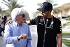 Foto zur News: Mercedes reagiert auf Ecclestone-Kritik an Hamilton