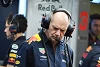 Foto zur News: Red Bull: Neue Strukturen auch wegen Adrian Newey