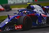 Foto zur News: Toro-Rosso-Teamchef über Honda: &quot;Vertrauensbasis absolut da&quot;