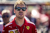 Foto zur News: Vettel: Trotz WM-Führung nicht Favorit in Frankreich