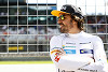 Foto zur News: McLaren-Geschäftsführer: Fernando Alonso jeden Penny wert