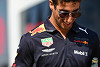 Foto zur News: Daniel Ricciardo: &quot;Brauche keinen Nummer-1-Status&quot;