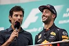 Foto zur News: Mark Webber: Daniel Ricciardo wird bei Red Bull bleiben