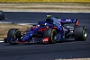 Foto zur News: Horner: Toro Rosso soll nicht Versuchskaninchen spielen