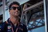 Foto zur News: Wegen Updates: Ricciardo droht Strafversetzung